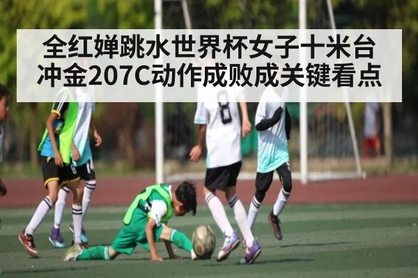 全红婵跳水世界杯女子十米台冲金207C动作成败成关键看点（KAIYUN SPORTS）